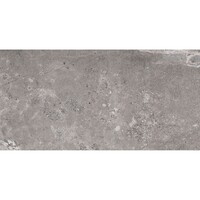 Vloertegel Pamesa Erding Grey 60x120 cm Gerectificeerd Mat Grijs (Prijs Per M2)