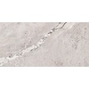 Vloertegel Pamesa Erding Silver 60x120 cm Gerectificeerd Mat Grijs (Prijs Per M2)