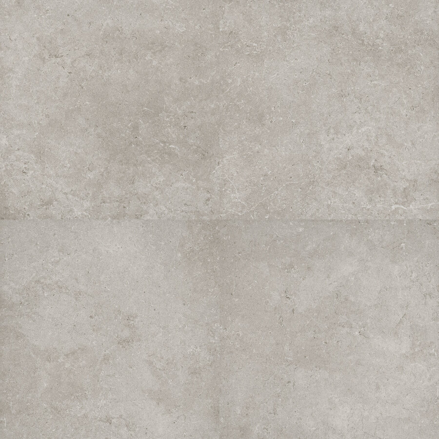 Vloertegel Flaminia Oregon Silver 60x60 cm Gerectificeerd (Prijs Per M2)