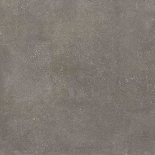 Buitentegel Beste Koop Ext. Uni 60x60 cm Gerectificeerd Mat Greige (Prijs Per M2) 