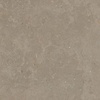 Ceramaxx Buitentegels Ceramaxx Limerock Betonlook Gerectificeerd 60x60x3 cm Taupe (Prijs Per M2)