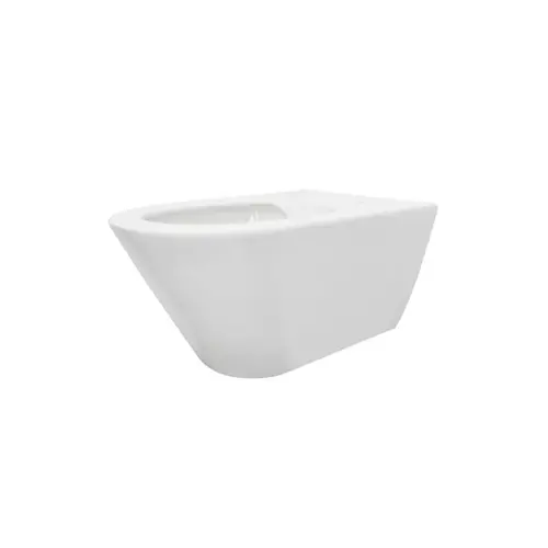 Wandcloset Aquasplash Tia Rimless zonder Toiletzitting Glans Wit 