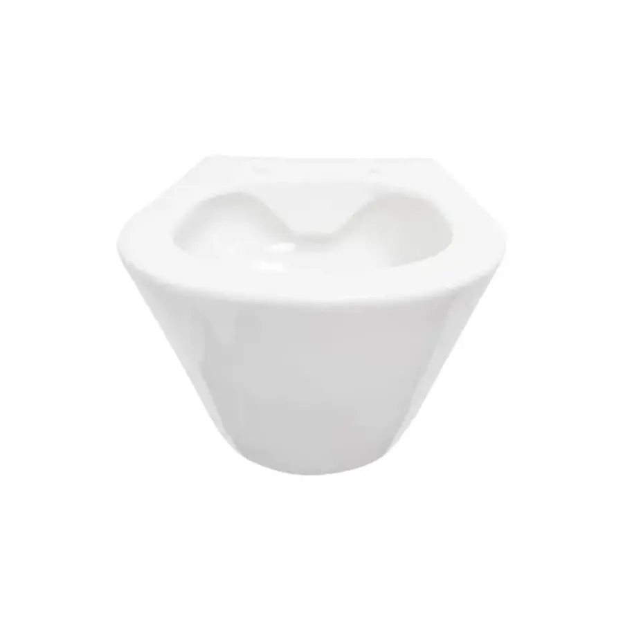 Wandcloset Aquasplash Tia Rimless zonder Toiletzitting Glans Wit