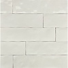Stardos Zellige Blanco Brillo Keramiek 6.2x25 cm Beige (Prijs per M2)