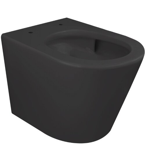 Wandcloset BWS Astev Rimless Tornado Flush Mat Zwart 