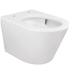 Wandcloset BWS Astev Rimless Tornado Flush Mat Wit