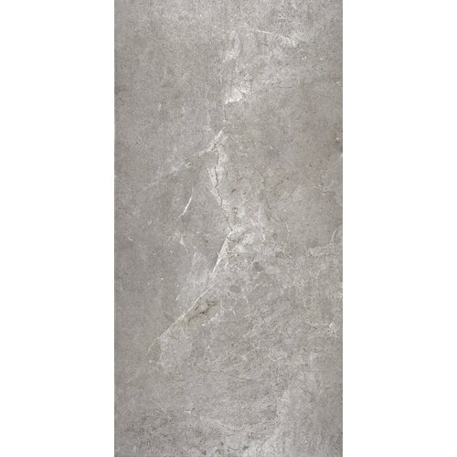 Vloertegel Flaminia Trilogy Greige 60x120 Gerectificeerd (Prijs Per M2) 