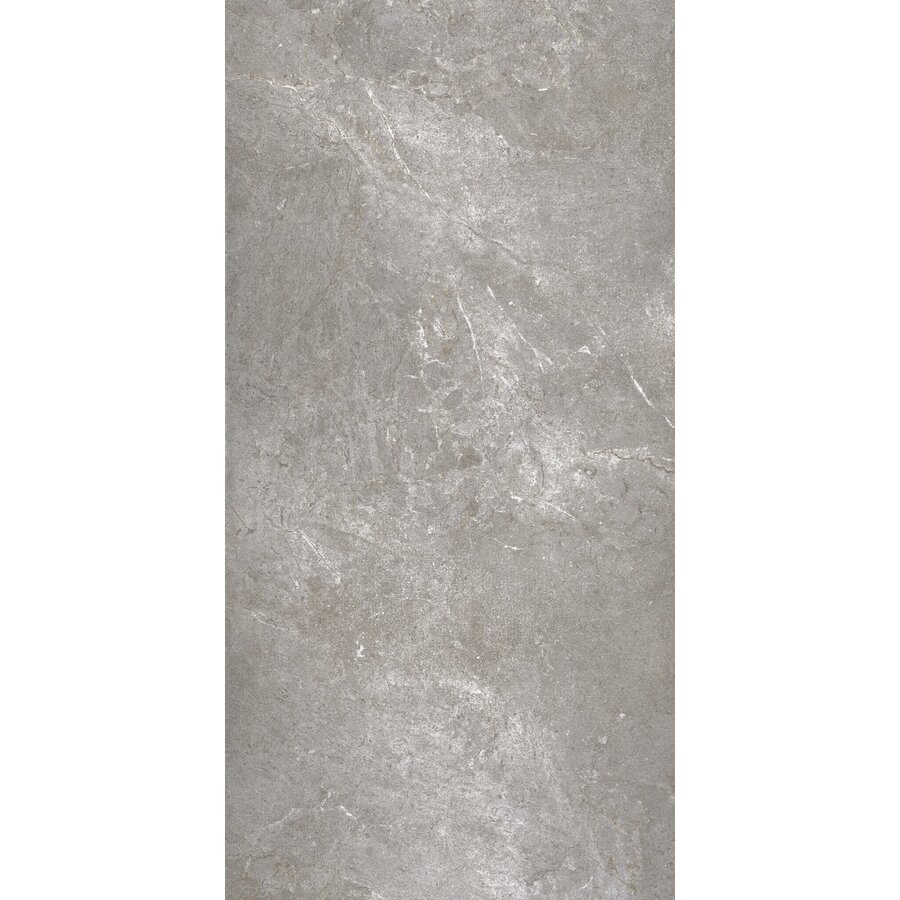 Vloertegel Flaminia Trilogy Greige 60x120 Gerectificeerd (Prijs Per M2)