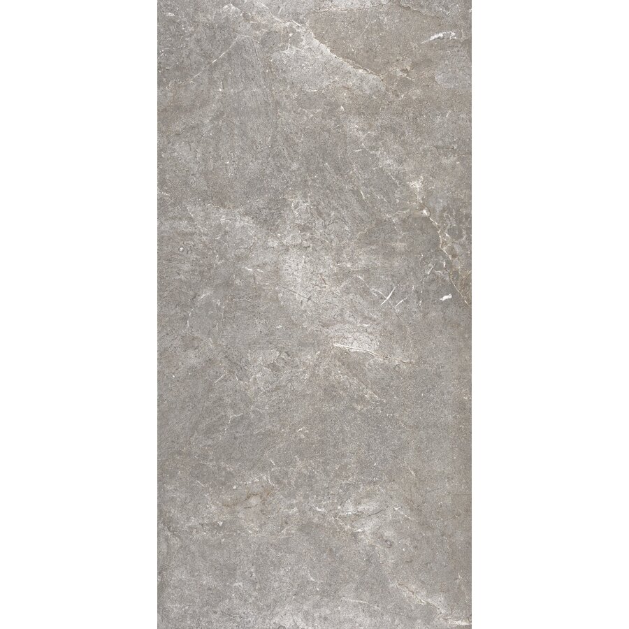 Vloertegel Flaminia Trilogy Greige 60x120 Gerectificeerd (Prijs Per M2)