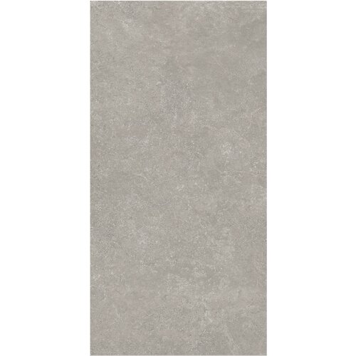 Vloertegel Flaminia Surface Greige 60x120 Gerectificeerd (Prijs Per M2) 