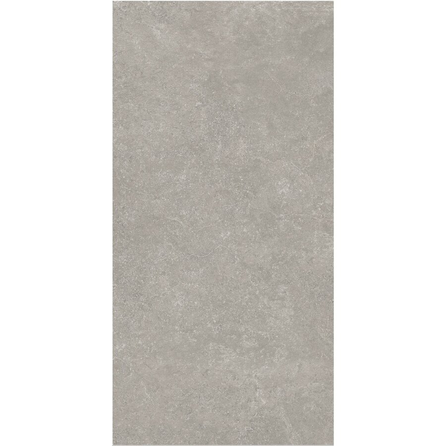 Vloertegel Flaminia Surface Greige 60x120 Gerectificeerd (Prijs Per M2)