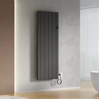 Elektrische Radiator BWS Boss 2.0 Met Wifi 2000W 160x60.8 cm Mat Zwart