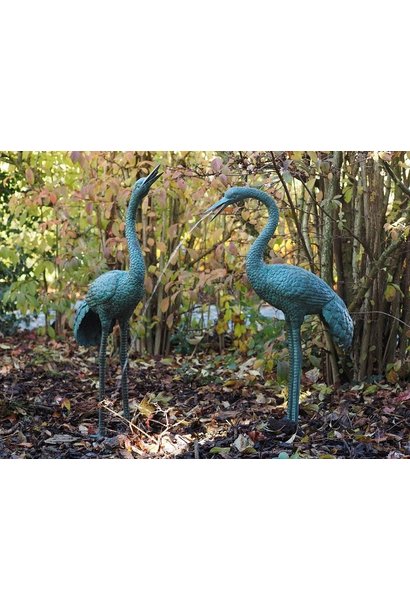 Pair of cranebirds