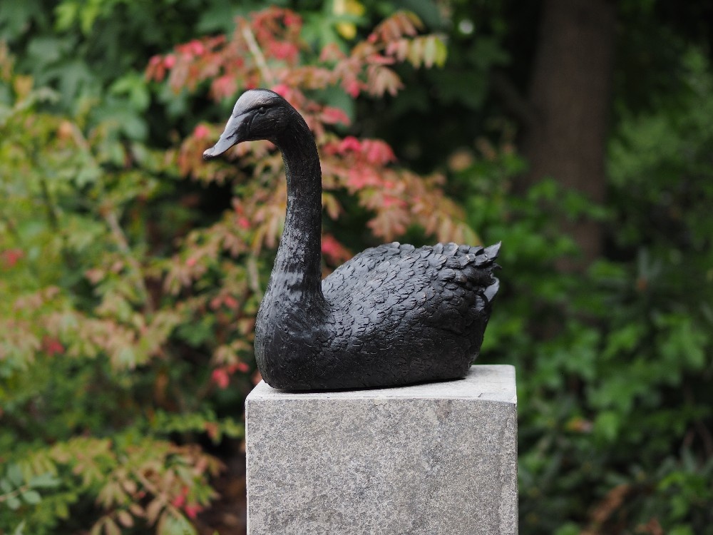 Bronze Statue Large Black Swan Is Delivered Without Pedestal Dimensio Heartofart The Art Of Giving