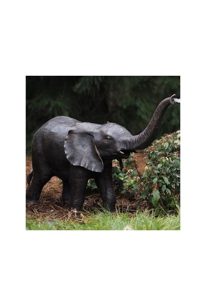 Kleine olifant
