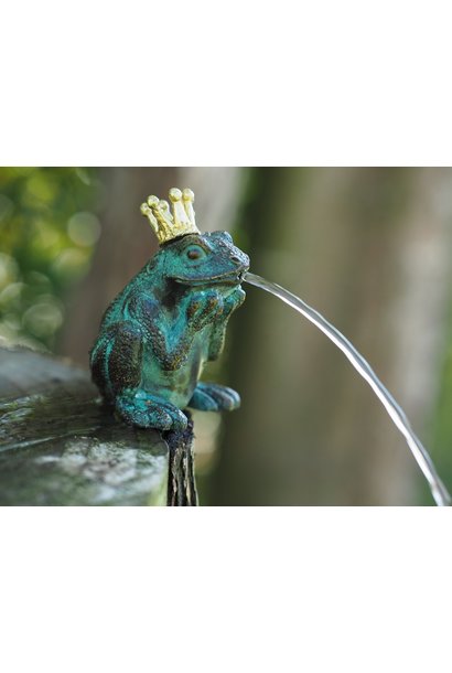 Bronze-Froschkönig