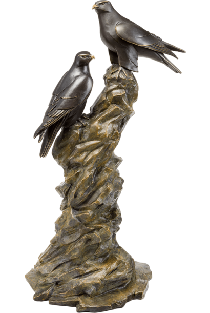 Vulture Falcon
