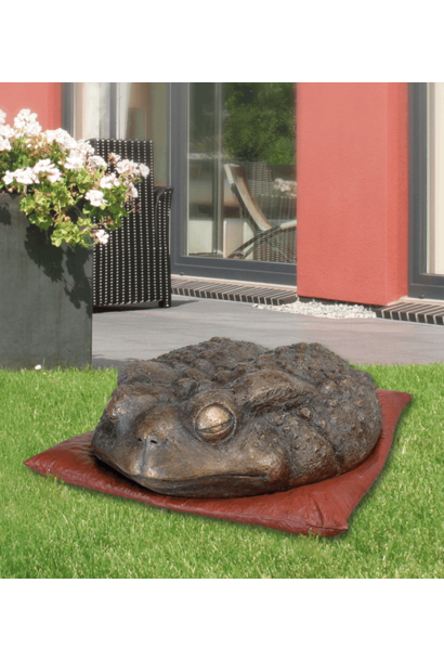 Toad on cushion