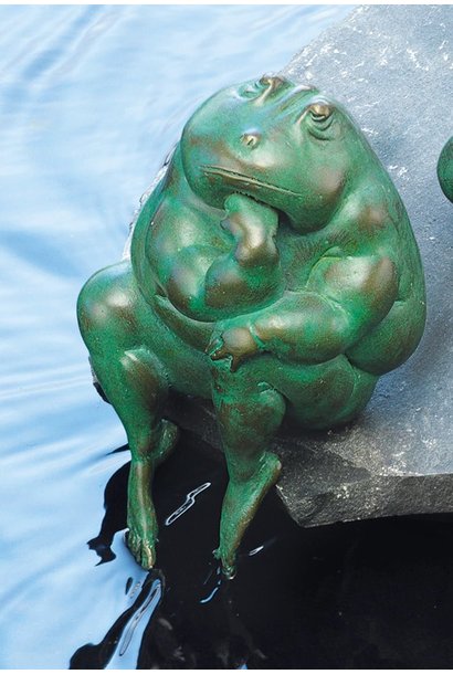 Frog "Erwin the thinker"