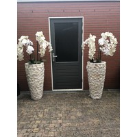 Schelpenvaas hoog - wit 100 cm  - met orchideeën