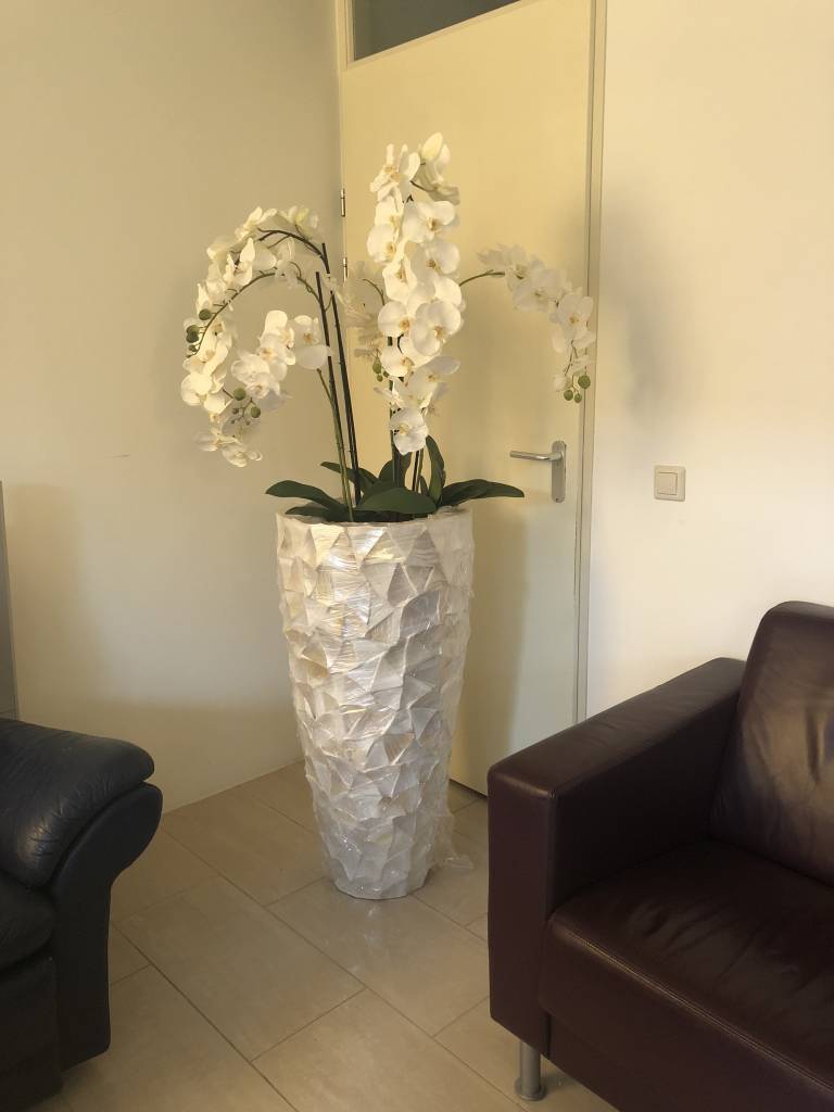 zakdoek Haan opleggen Schelpenvaas hoog - wit 100 cm met orchideeën - Domestica Interior Design