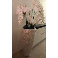 Schelpenvaas hoog - wit 100 cm  - met orchideeën