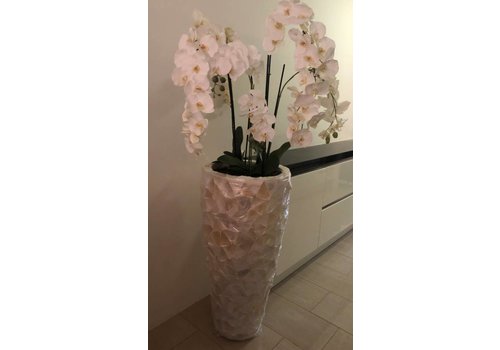 Schelpenvaas hoog - wit 100 cm  - met orchideeën