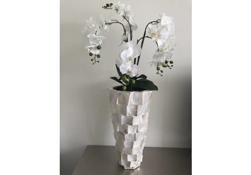 Schelpenvaas hoog - wit 65 cm  - met orchideeën