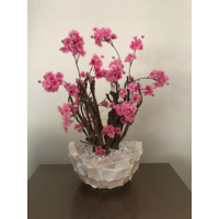 Schelpenvaas bowl wit 40 cm met fuchsia roze bloesems