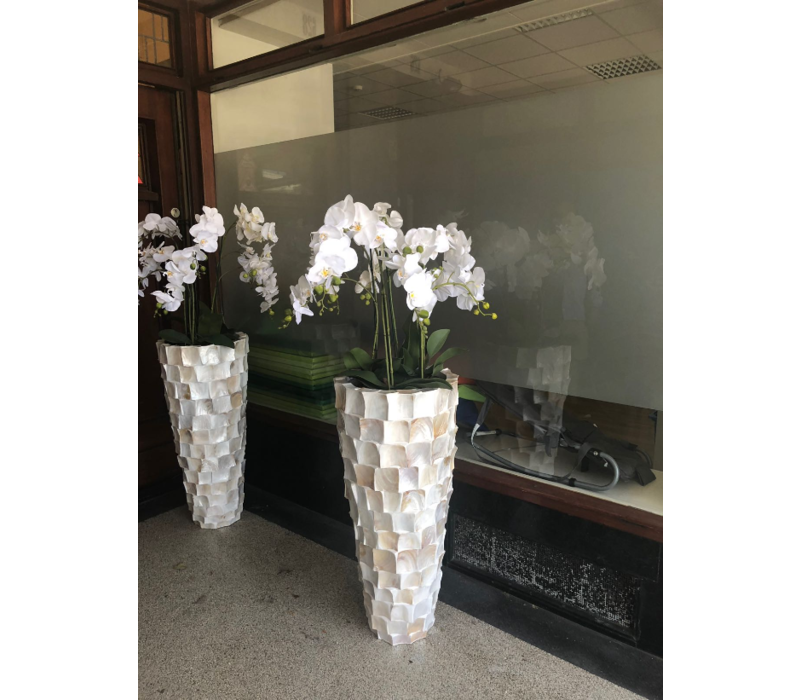 Schelpenvaas wit hoog 90 cm met orchideeën