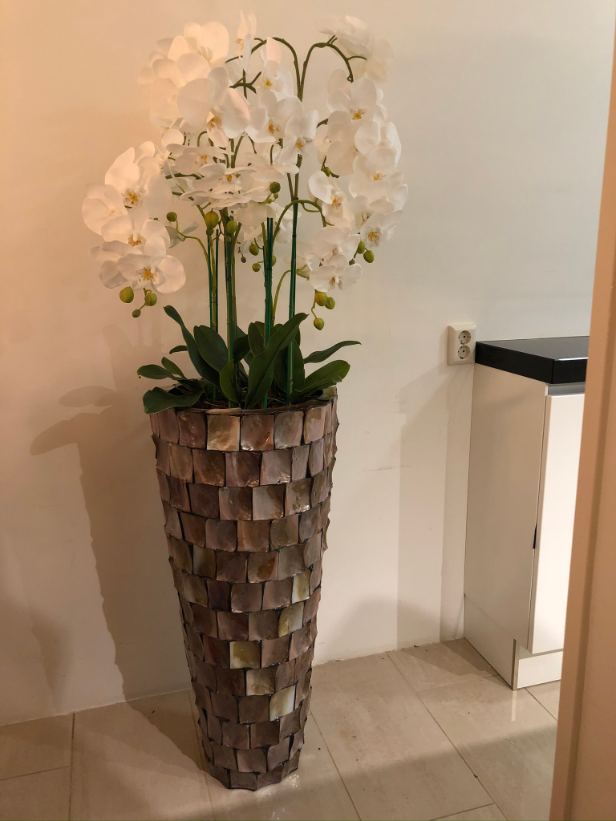 Tweet Top Bermad Schelpenvaas bruin hoog met orchideeën - Domestica Interior Design