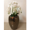Pot brons/goud/bruin S - 44x55 cm  met orchideeën