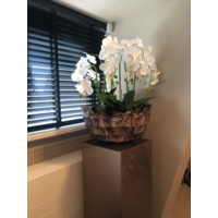 Schelpenvaas bowl - bruin 60x33 cm met orchideeën