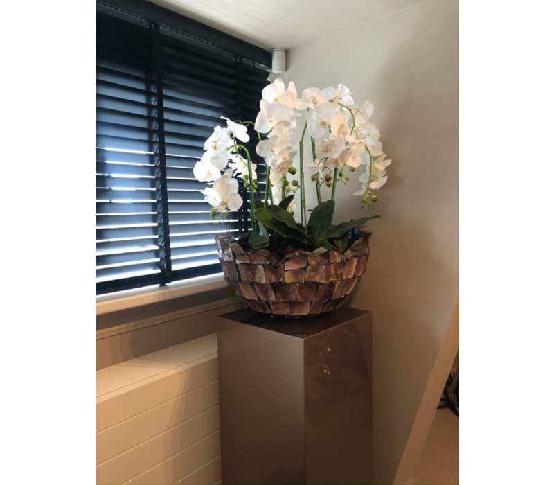 Schelpenvaas bowl - bruin 60x33 cm met orchideeën