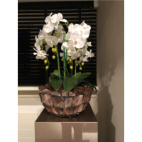 Schelpenvaas bowl - bruin 40x24 cm met orchideeën