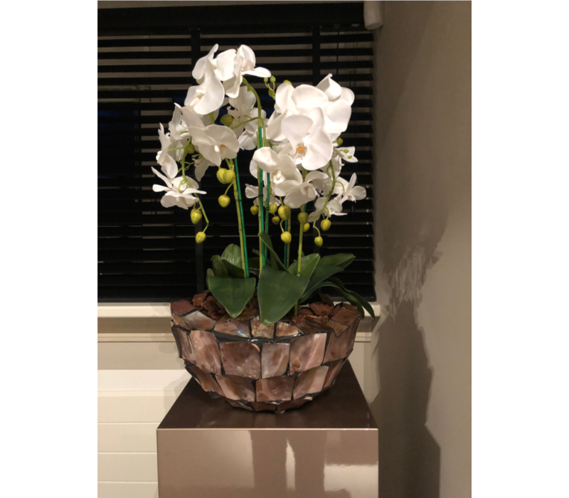 Schelpenvaas bowl - bruin 40x24 cm met orchideeën