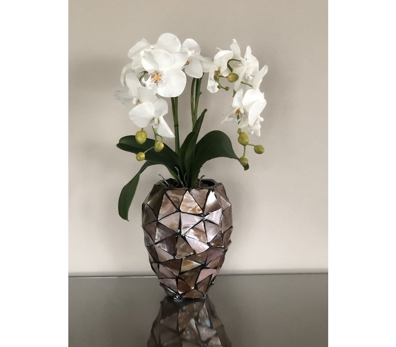 Schelpenvaas klein met orchideeën - bruin 17x24 cm