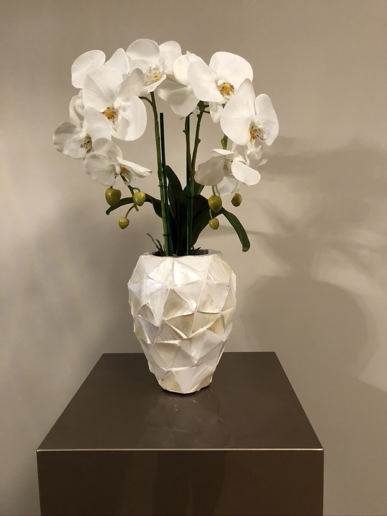 Keelholte Rendezvous Identiteit Schelpenvaas klein met orchideeën - wit 17x24 cm - Domestica Interior Design