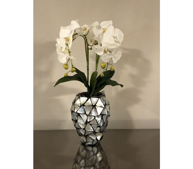 Schelpenvaas klein met orchideeën - zilver 17x24 cm