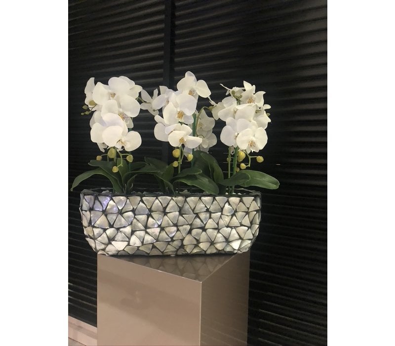 Schelpenvaas breed  met orchideëen- zilver 60 cm