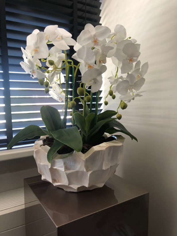 Schelpenvaas bowl 40 cm wit met orchidee