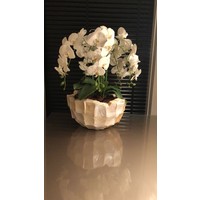 Schelpenvaas bowl - wit 40x24 cm met orchideeën