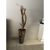 Schelpenvaas bruin 65 cm vaas met ghostwood