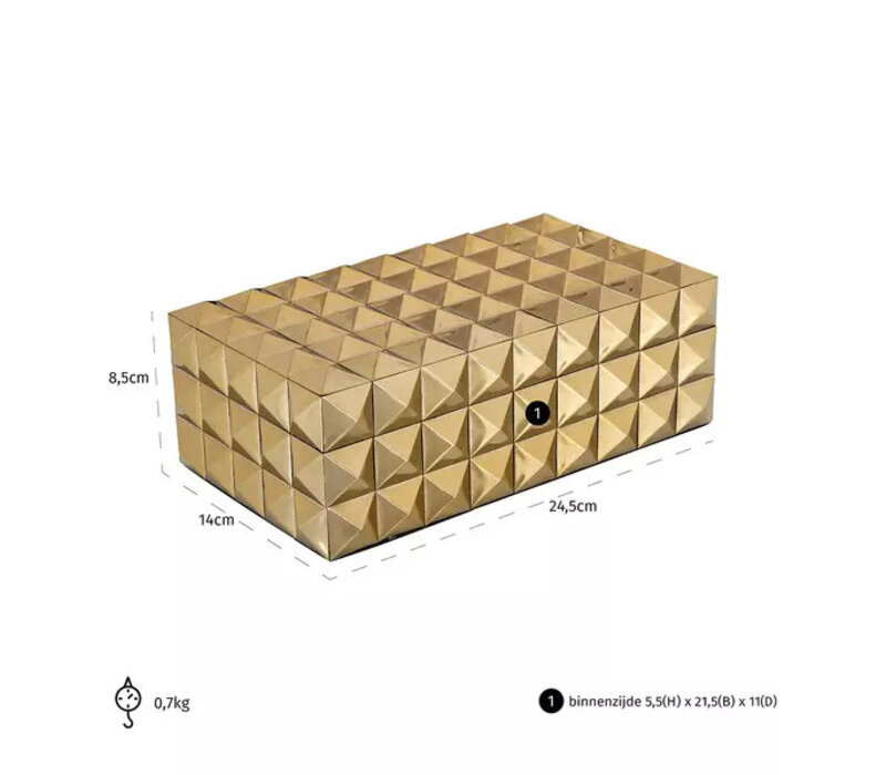 Richmond Luxe  opbergbox Rylee goud