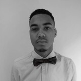 Vlinderdasje Endurance