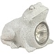 Ranex Ranex Solar LED Kikkerlamp Frog Grey Ranex Ranex Solar LED Kikkerlamp Frog Grey