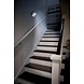 Osram Osram Spylux 3 LED's Orientatielampje White Osram Osram Spylux 3 LED's Orientatielampje White