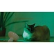 Philips Philips LED LivingColors Bloom - White Philips Philips LED LivingColors Bloom - White