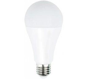 12 watt led bulb warm white