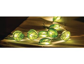 HQ 10 LED's Lichtslinger - Blad